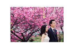 点击看大图 -爱完美婚纱摄影工作室(丈八北路店)