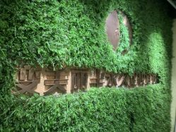 -变美丽半永久纹眉连锁·机器野生眉•洗眉