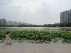 -南翔镇银翔湖公园