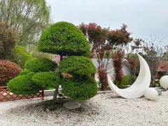 -郑州银基黄帝宫御温泉