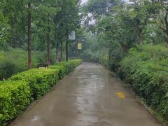 -西安汉城湖景区