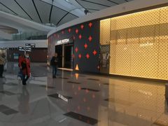 -LV路易威登(大兴国际机场店)