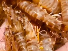 -盒马鲜生(大成店)