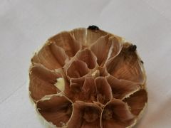 蒜头-广州四季酒店·意珍·意式自助餐