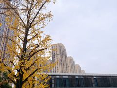 -龙头寺公园