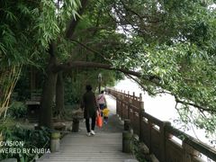 -成都市活水公园