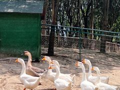 -祥源·阜阳生态乐园