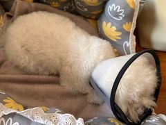 -宠颐生动物医院·心脏科·保险定点(锦阳分院)