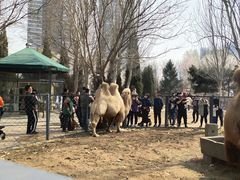 -长白岛森林公园