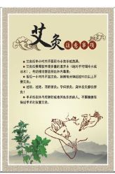 -莲芸拔罐减肥