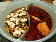 -青瓷火锅料理(西单大悦城店)