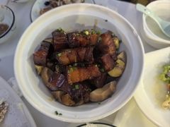 -云中小雅