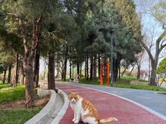 -长辛店二七公园