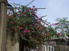 -马拉桑果汁(龙头路总店)