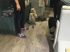 -小时光咖啡馆(开森度假森林店)