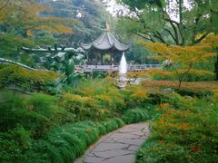 丁香花园-申粤轩酒楼·三十年粤菜经典(丁香花园店)