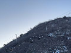 -黄龙山原始森林景区