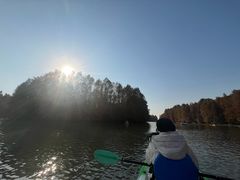 -上海海湾国家森林公园