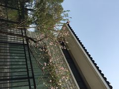 iphone_upload_pic-航天无锡（738）疗养院