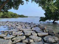 -宝安西湾红树林湿地公园