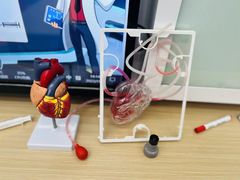 -斯坦星球AI编程·机器人科创·科学实验·信奥·思维·STEM·积木拼搭·竞赛考级(浦东联洋广场大拇指龙阳御桥中心)