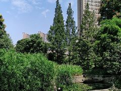 -成都市活水公园