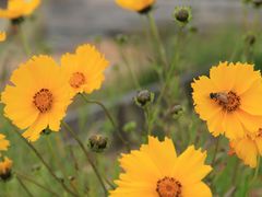 -青岛海滨风景区-鲁迅公园