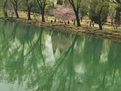 -香山公园