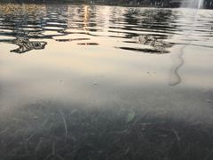 -成飞公园