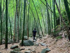-莫干山风景区