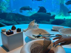 -亚特兰蒂斯•OSSIANO奥西亚诺海底餐厅