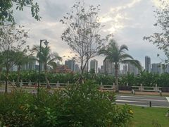 -野狸岛