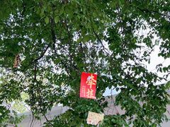 -俄罗斯风情街