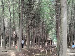 -捞渔河湿地公园