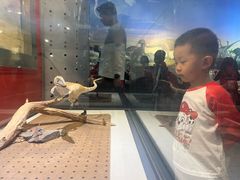 -国家自然博物馆