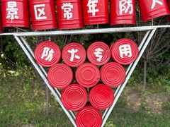 -五营红松林海景区