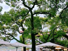 -湖畔居茶楼(湖滨店)