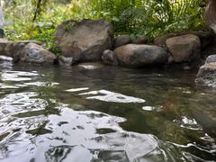-天芳悦潭度假村温泉