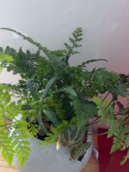 -AIST爱思特医疗美容医院