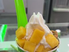 -Salud撒露欧洲冻酸奶(五道口购物中心店)