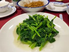 酒香豆苗-老吉士酒家(天平路店)