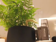 -广交会威斯汀酒店