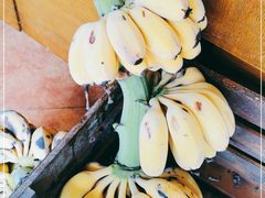 -元初食品(幸福e家小区店)