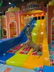 -万达宝贝王(长春红旗街店)