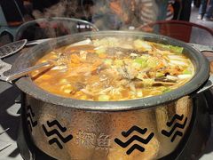 -探鱼·鲜青椒爽麻烤鱼(正佳广场店)