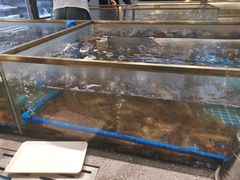 -半岛听涛蒸汽海鲜自助(K11店)
