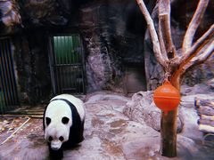 -北京动物园