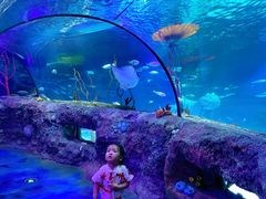 -沈阳海洋探索中心