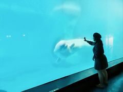 -海合安武汉极地海洋公园