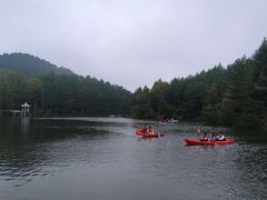 -四明山国家森林公园